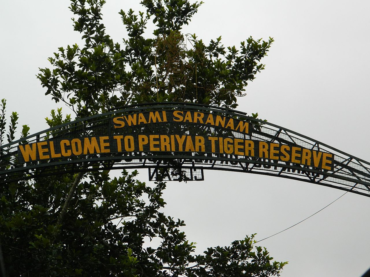 Periyar Wildlife Sanctuary, Kerala