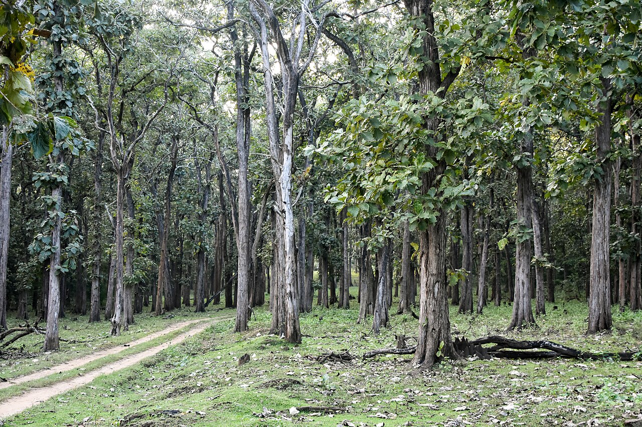 Nagarhole National Park, Karnataka