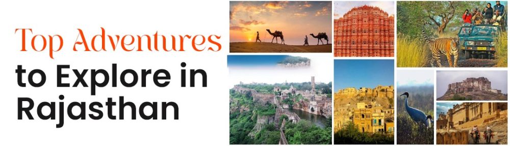 Top Adventures to Explore in Rajasthan